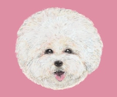 わんちゃんのデジタル似顔絵お描きします イメージ1