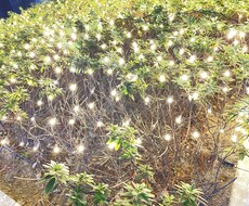迷ってる貴方へ一緒に答えを探します イメージ1
