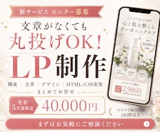 先着5名様限定・モニター価格でLPを制作します 構成・文章・デザインおまかせでOK！先着5名様40,000円