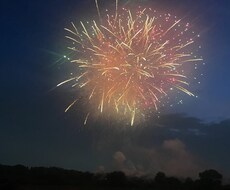 孤独な心に寄り添い前を向けるサポートをします イメージ1