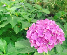 あなたの心のモヤモヤ、なんでも聞きます イメージ1