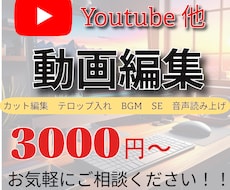 超破格！YouTube動画編集します 実績づくりのため格安で対応いたします！