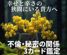 不倫・秘密の関係【この関係の行方】を占います