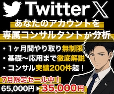 X,Twitterをプロが１ヶ月徹底コンサルします あなたのアカウントに必要な運用戦略やXの解説など／質疑応答◎