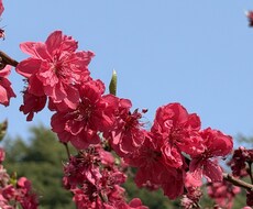 誰にも言えない愚痴、ノリノリで聞きます イメージ1
