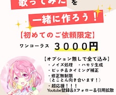 活動者様、応援価格3000円！補正ハモ全て含みます 後は投稿するだけまで全て込み！歌声をキラキラにします♪