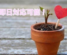心を込めて作詞します 即日対応可能で提供させていただきます