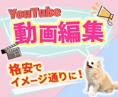 どんなジャンルでも動画編集いたします とにかく安い！丁寧！！全力で取り組ませていただきます！！