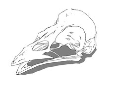 スケッチ風イラストを描きます SNSやブログ・印刷物の挿絵にオススメ！