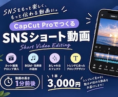 SNSショート動画・Vlogの動画編集承ります イメージ1