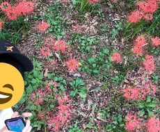 あなたが求めてる色々な存在になります イメージ1