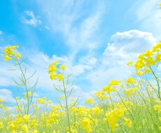 心の悩みに寄り添い親身に聞きます イメージ1
