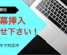 動画の字幕編集のみを行います イメージ1