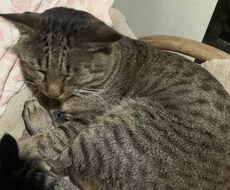 いつでも、誰にも話せないような事でも、聞きます イメージ1