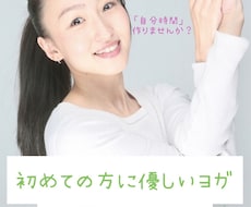 初心者の方に優しいヨガレッスンをします イメージ1