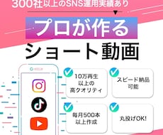SNS運用会社がバズるショート動画を編集します イメージ1
