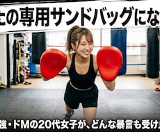 あなたの「専用サンドバッグ」になります イメージ1