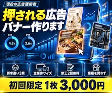 通販D2C向け｜獲得用の広告バナーを作ります イメージ1