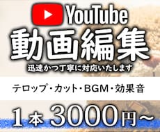 最短3日納品！YouTube動画を編集いたします