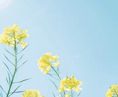 あなたの心を軽くします イメージ1