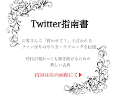Twitter欲求喚起術〜売込みの必要を無くします 実績がなくても売り込まずに商品を売る『ファンを作る秘訣』