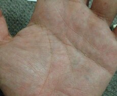 即日！手相鑑定！ プロ鑑定士が貴方の性格、仕事運、恋愛運を占います！