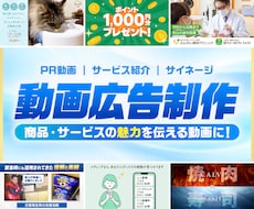 商品・サービスをわかりやすく伝える動画を制作します イメージ1