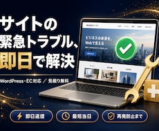 サイトの緊急トラブルを即日で解決します イメージ1