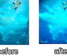 写真加工します イメージ1