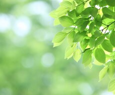 お悩み解決への始めの一歩を、メールサポートします イメージ1