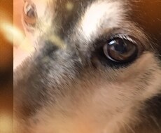 誰にも言えないハナシ聴きます イメージ1