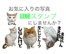 とっておきの写真をLINEスタンプにします イメージ1
