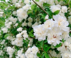 質問内容不要⭐︎タロットでアドバイス引きます とにかくなにかヒントが欲しい方へ