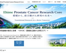医師・研究者・研究室のホームページを制作します イメージ1