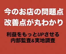 覆面調査＆近隣競合店調査で“勝てるサロン”にします 辛口評価！サロン立て直し経験多数☆改善点がまるわかりプラン