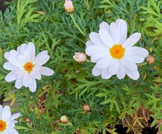 あなたの「分かってほしい」を大切に受けとめます カウンセラーの知識と勤続30年の豊富な経験からお話聞きます