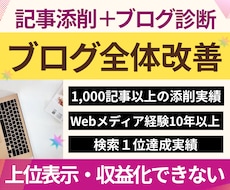 記事添削＋ブログ診断⭐︎まとめて全体改善します 「文章×アフィリエイト×SEO×収益化」記事添削＋ブログ診断
