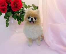 大切な愛犬さんをお作りします 世界にたった一つ♡うちのコ羊毛フェルト♡