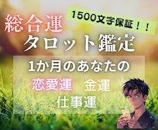1ヶ月間の恋愛運・仕事運・金運をまとめて鑑定します 各項目タロット1枚引き♦1500文字のボリューム鑑定♦即日可