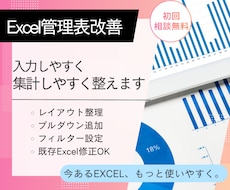 今あるExcel管理表を使いやすく改善します イメージ1