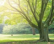 どんな方でもどんなお話でも聞きます イメージ1