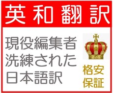 実績400件☆ビジネス文書 和訳 英語 翻訳します 自然でロジカルなこなれた文章☆DX／SDGs／ダイバーシティ