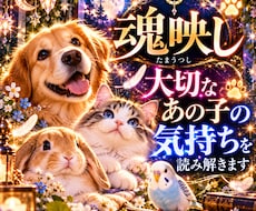 魂映し｜大切なあの子の気持ちを読み解きます イメージ1