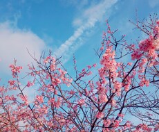ゆるーくお話したい方お待ちしてます イメージ1