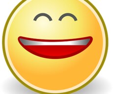 あなたのサテライトサイトに大量の記事を作成します 初めてワードプレスを作って戸惑っているかた。