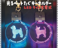 わんちゃんのお名前 彫刻致します めっちゃカッコイイ！✨光る✨ペットたぐ キーホルダー 迷子札
