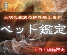 ペット鑑定 | 虹の橋の大事な家族の声を届けます