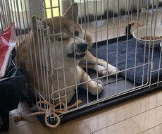 どんな愚痴も聴きます。特に浮気の相談のります イメージ1
