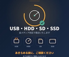 失ったデータを救出します USBメモリ・SD・HDD等各種記憶媒体のデータを救出します