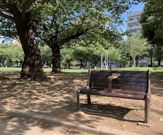 夏お勧め！マチアプでいいねが増える写真を撮影します 撮られるのが苦手でも大丈夫！男性必見！@錦糸公園